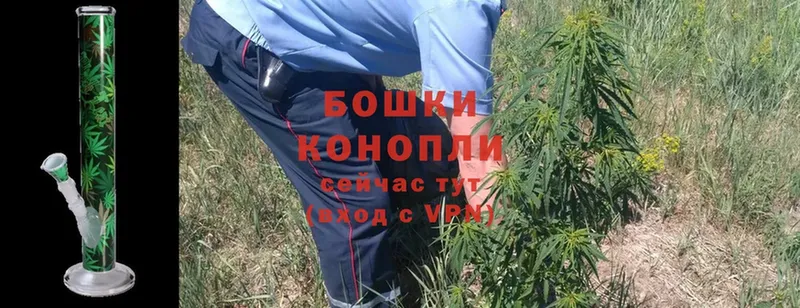 Конопля White Widow  Мещовск 